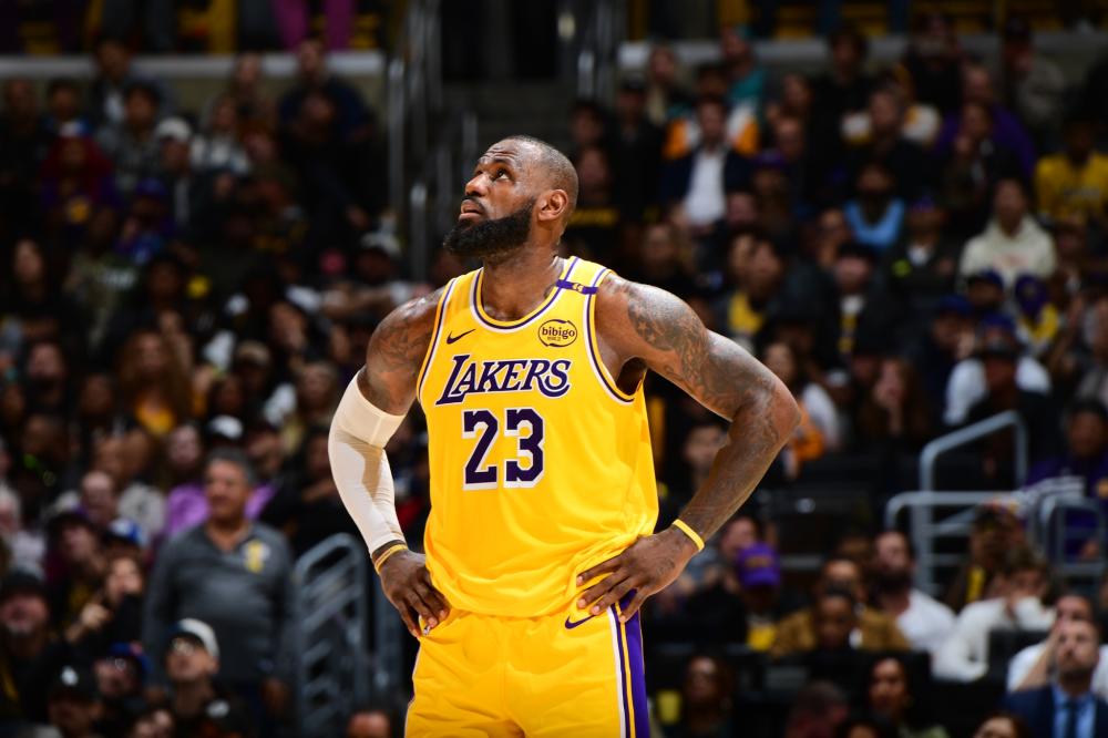 熊的团队协 熊的团队协